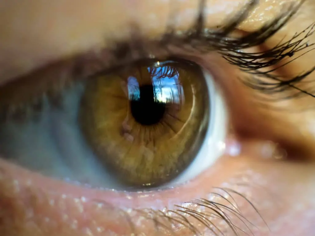 flip macro eye contact lenses